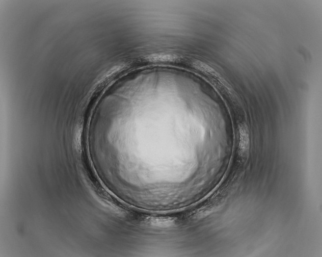 X0000112720491200909031420