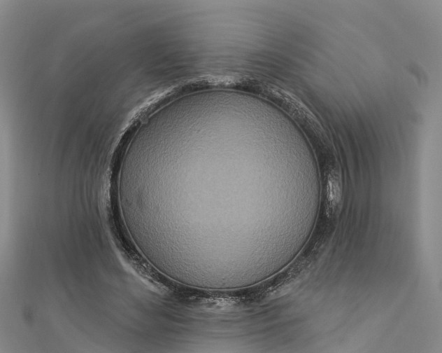 X0000112720492200909031420