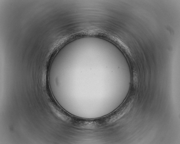 X0000112720493200909031420