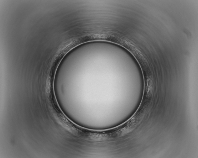 X0000112720494200909031420