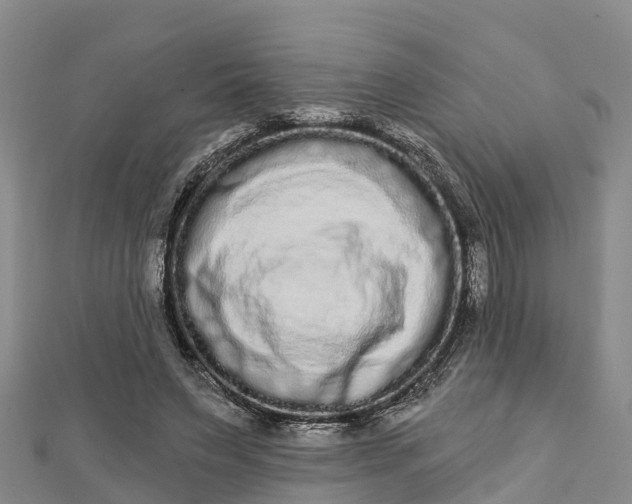 X0000112720495200909031420