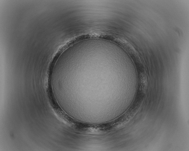 X0000112720496200909031420