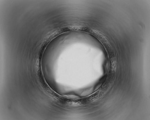 X0000112720498200909031420