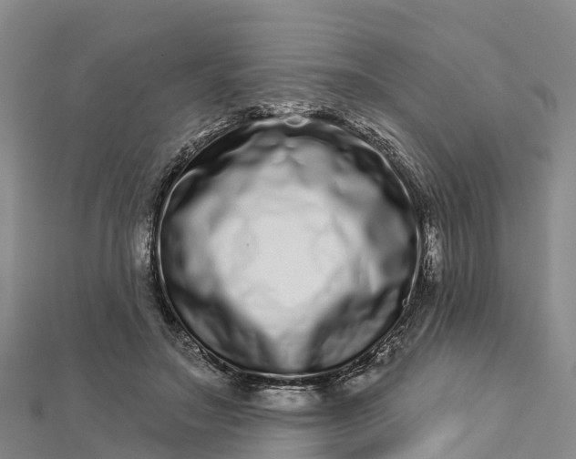 X0000112720499200909031420