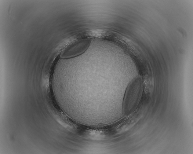 X0000112720500200909031420