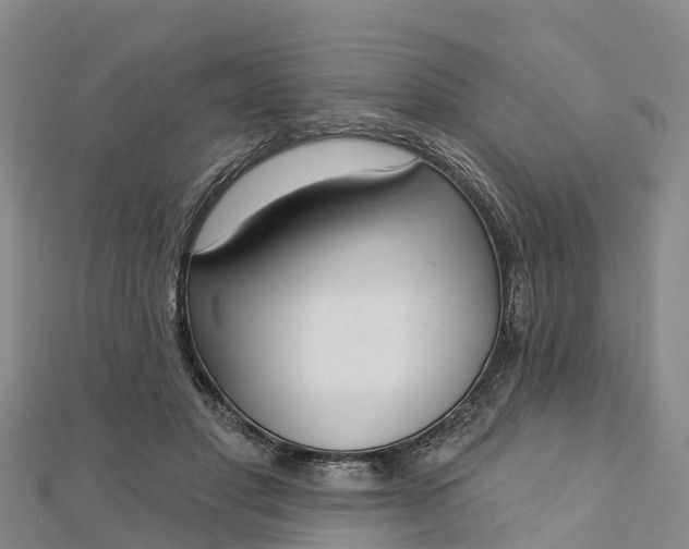 X0000112720501200909031420