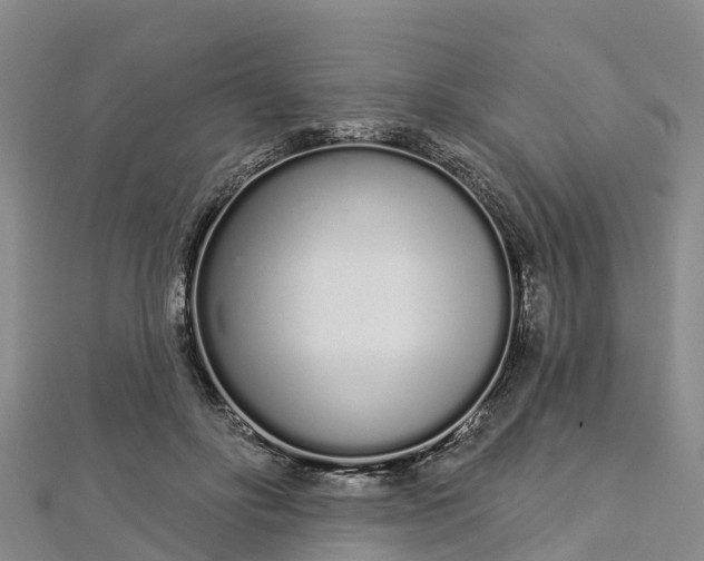 X0000112720502200909031420