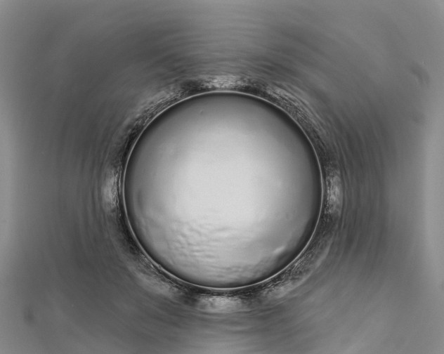 X0000112720503200909031420