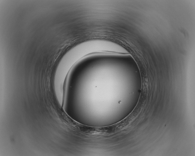 X0000112720504200909031420