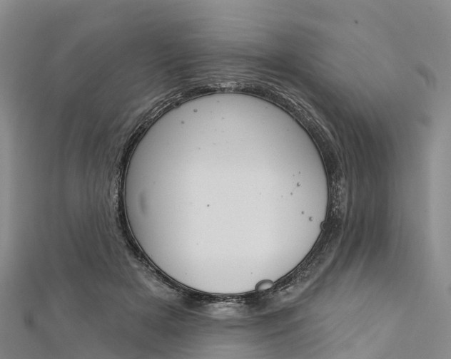 X0000112720505200909031420