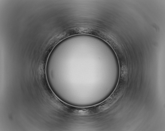 X0000112720506200909031419