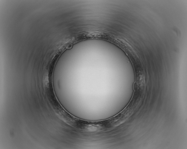 X0000112720508200909031419