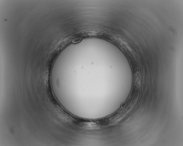 X0000112720509200909031419