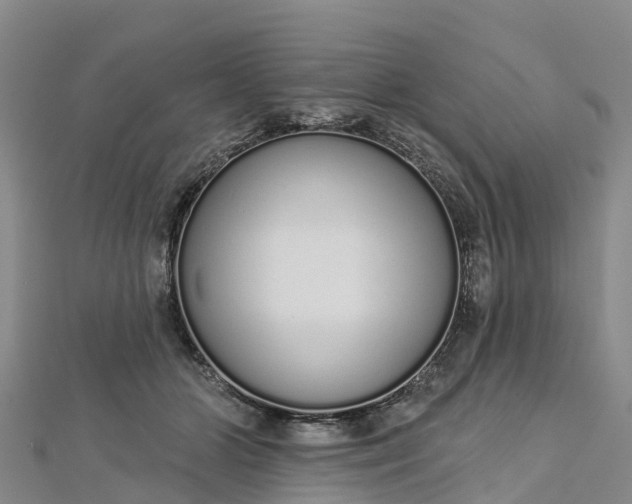 X0000112720510200909031419