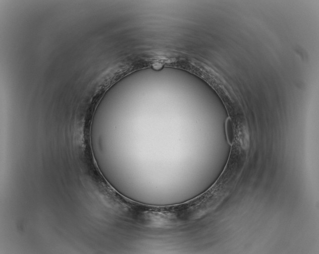 X0000112720512200909031419