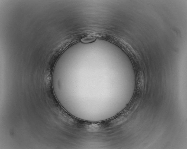 X0000112720513200909031419