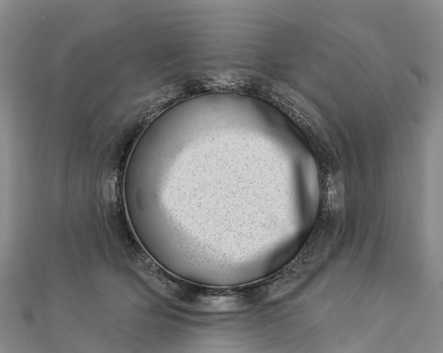 X0000112720514200909031419