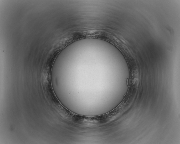 X0000112720515200909031419