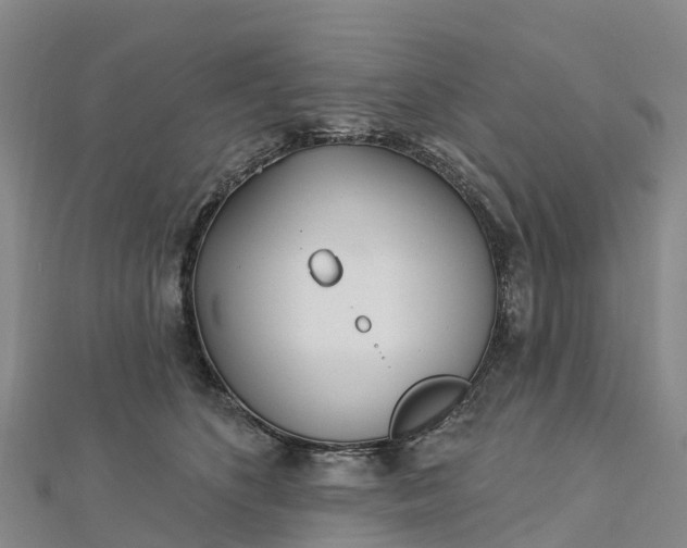 X0000112720516200909031419