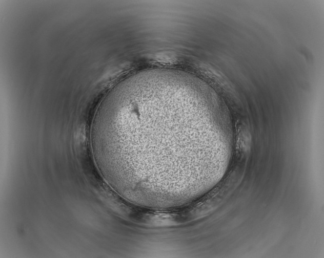 X0000112720518200909031419