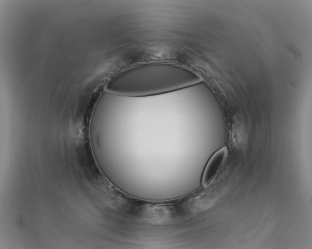 X0000112720520200909031419