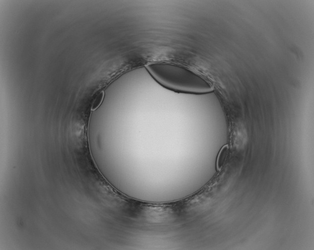 X0000112720521200909031419