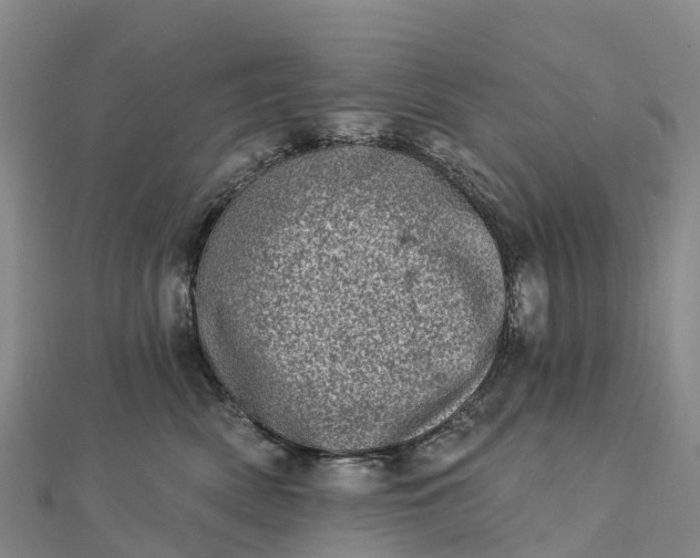 X0000112720522200909031419