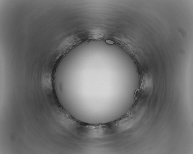 X0000112720524200909031419