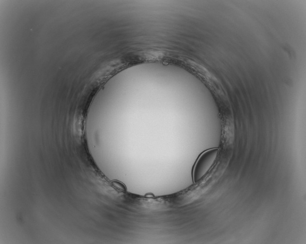 X0000112720525200909031419