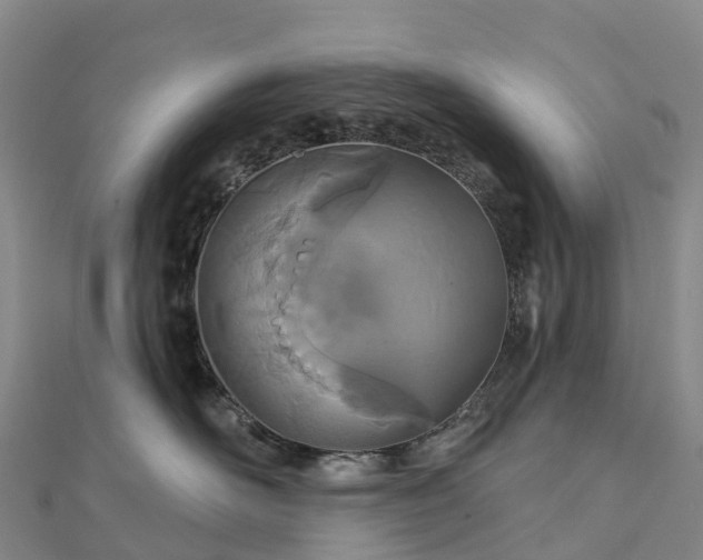 X0000112720526200909031419