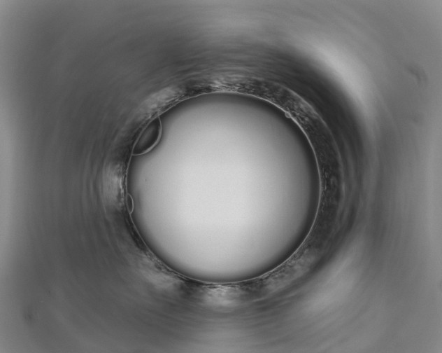 X0000112720527200909031419