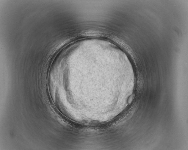 X0000112720529200909031419