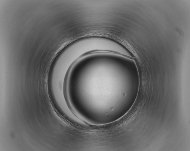 X0000112720530200909031419