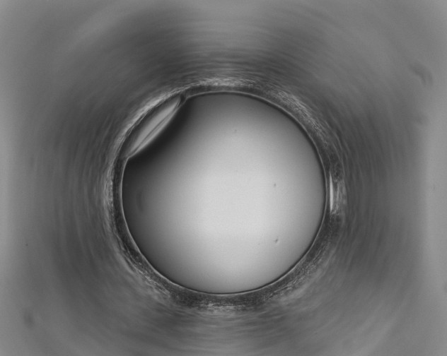 X0000112720531200909031419