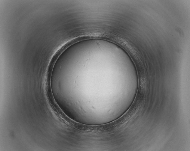 X0000112720532200909031419