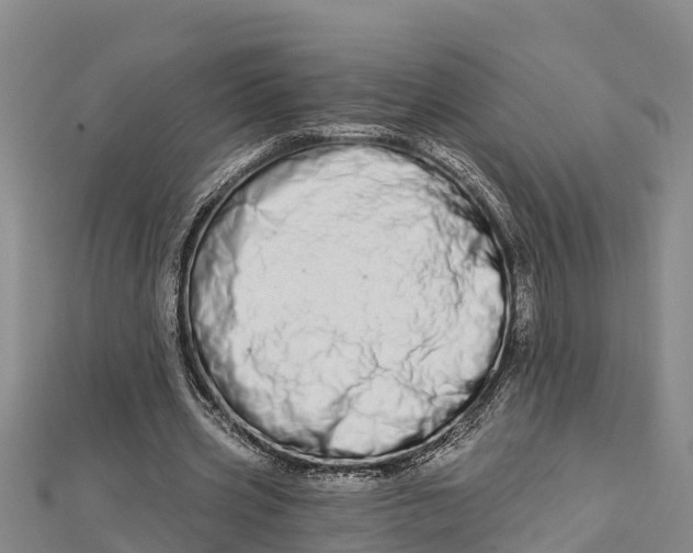 X0000112720533200909031419