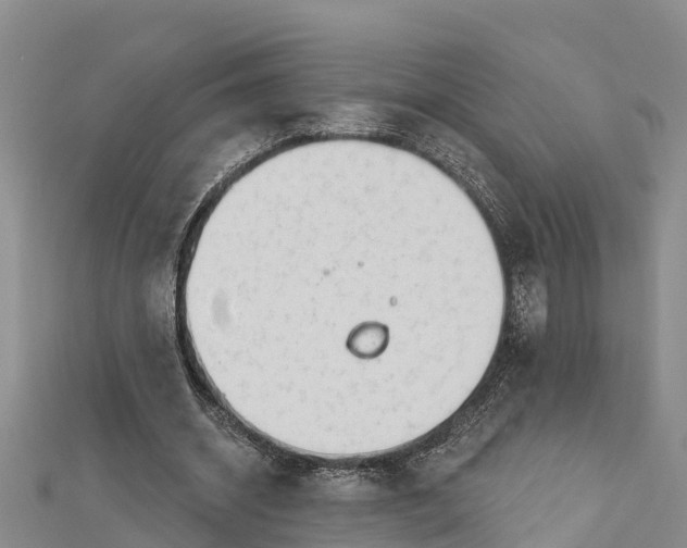 X0000112720534200909031419