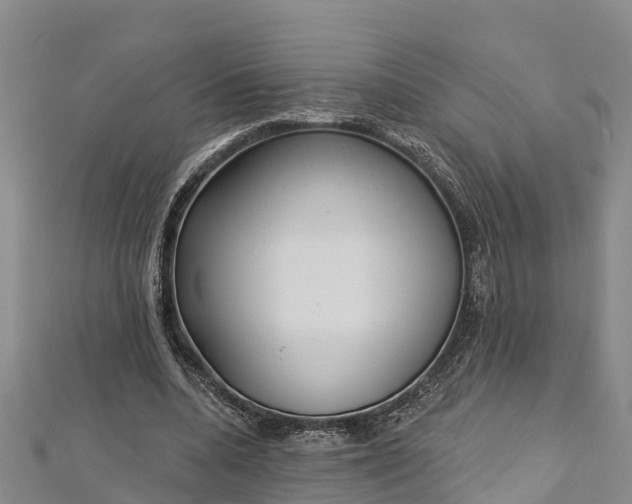 X0000112720536200909031419