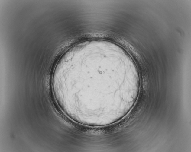 X0000112720537200909031419