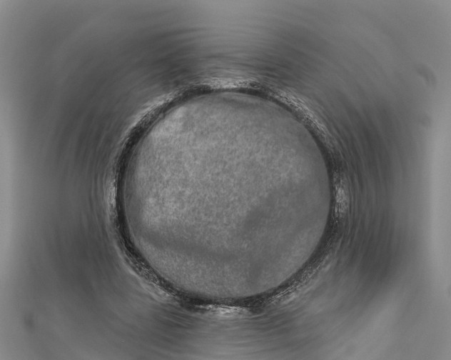 X0000112720539200909031419