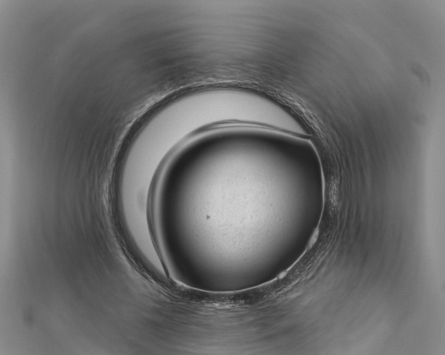 X0000112720540200909031419