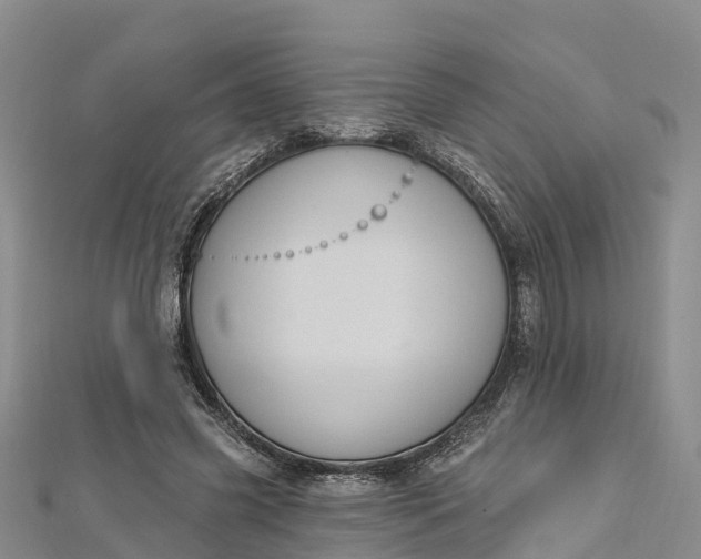 X0000112720541200909031419