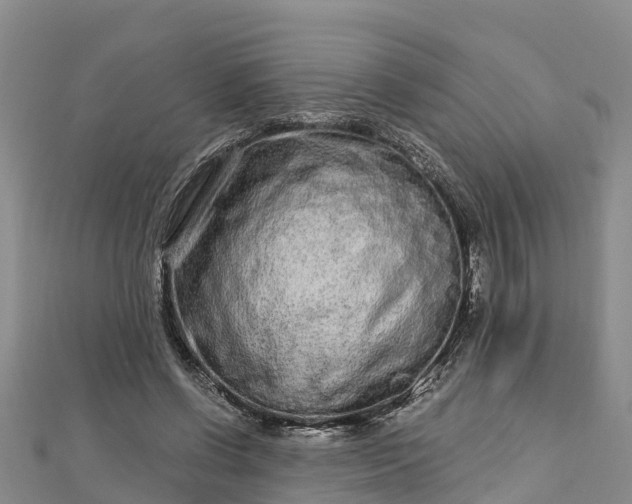 X0000112720542200909031419