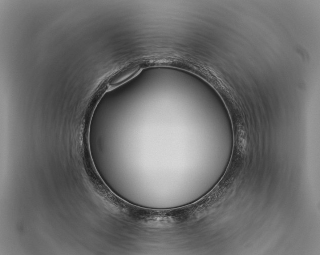 X0000112720543200909031419