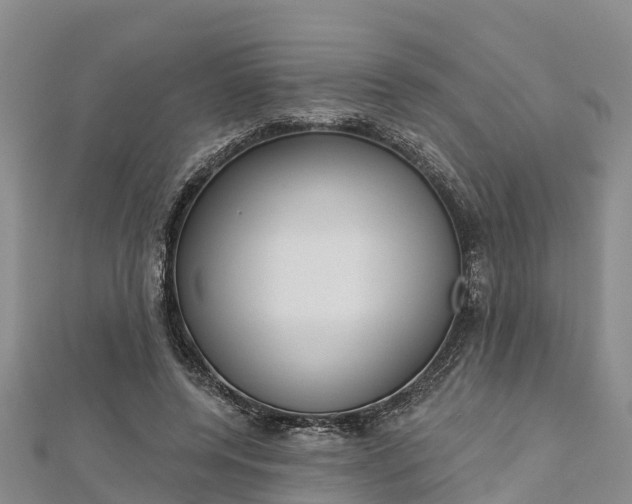 X0000112720544200909031419