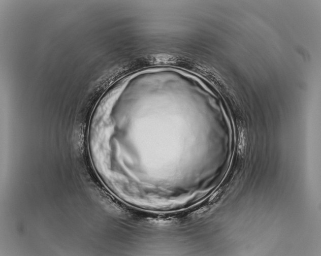 X0000112720545200909031419