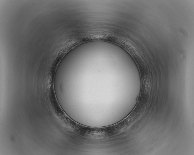 X0000112720546200909031419