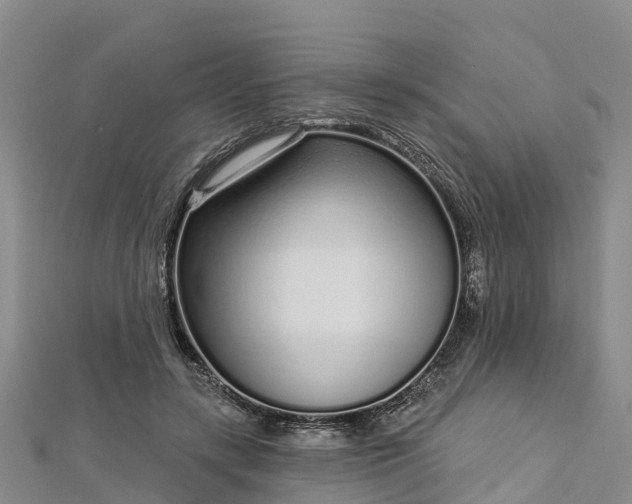 X0000112720547200909031419