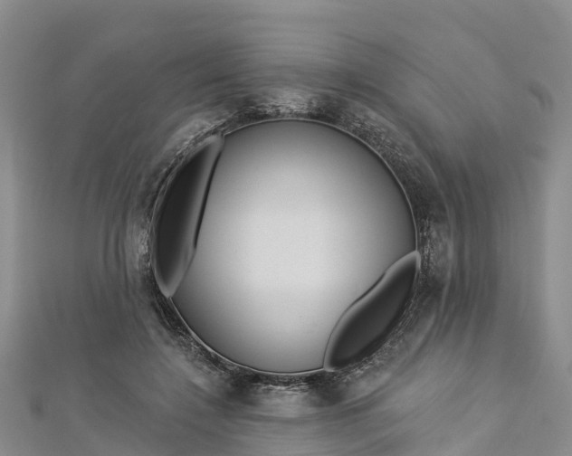 X0000112720548200909031419