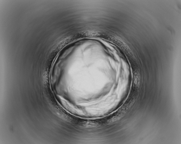 X0000112720549200909031419